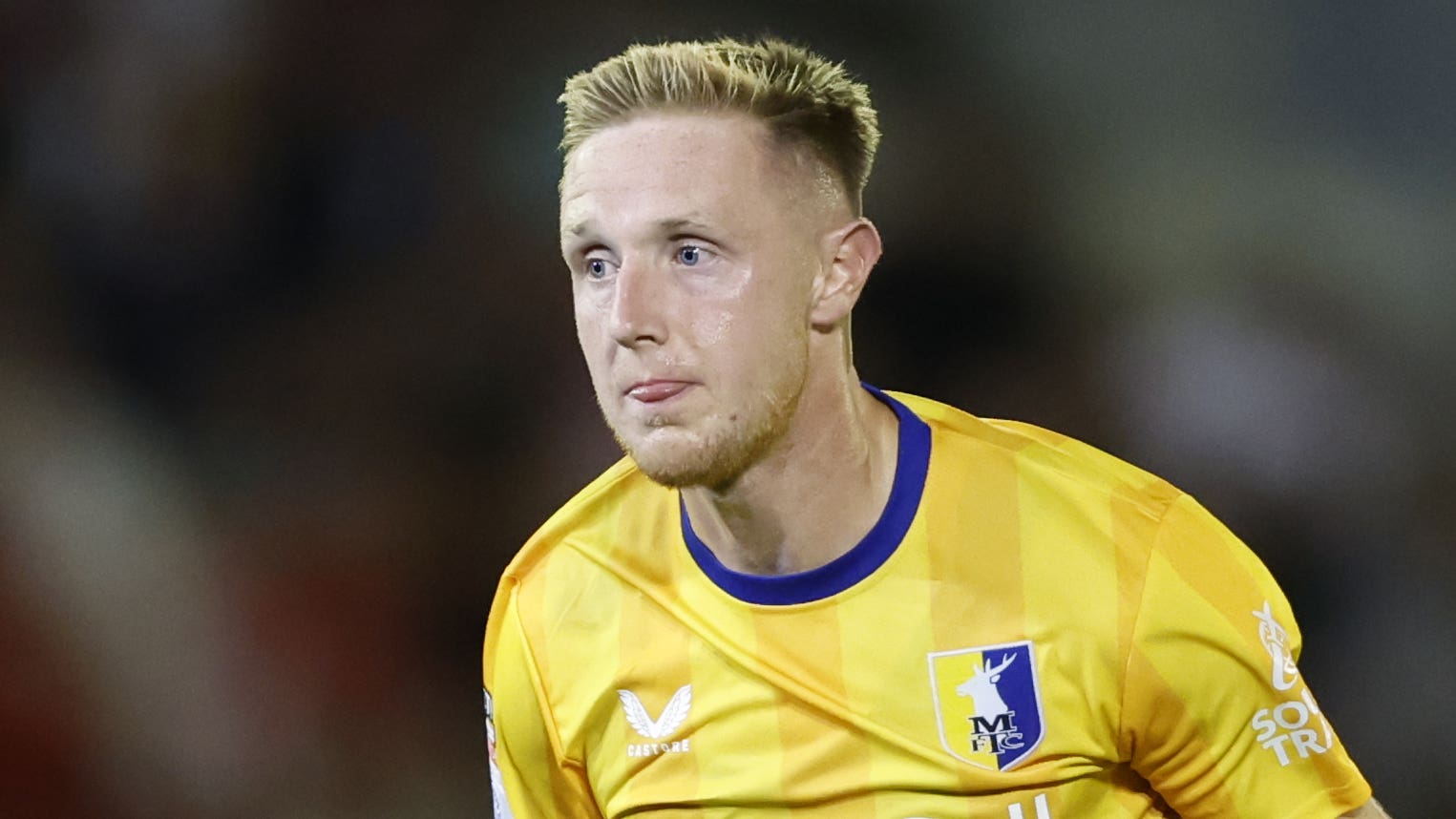 表现不仅影 表现不仅影